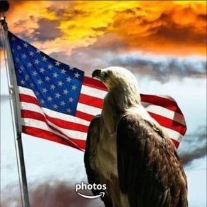 Meet your Posher, Tom